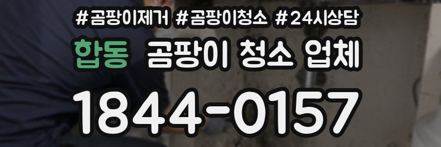 합동 곰팡이 청소 업체