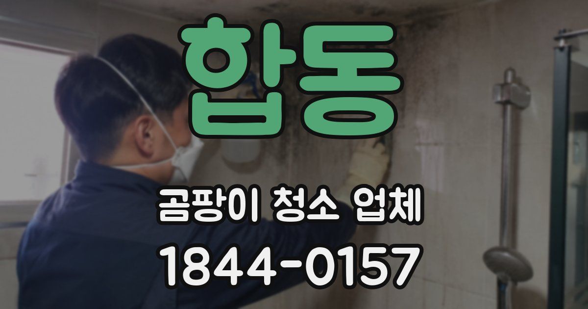 합동 곰팡이 청소 업체