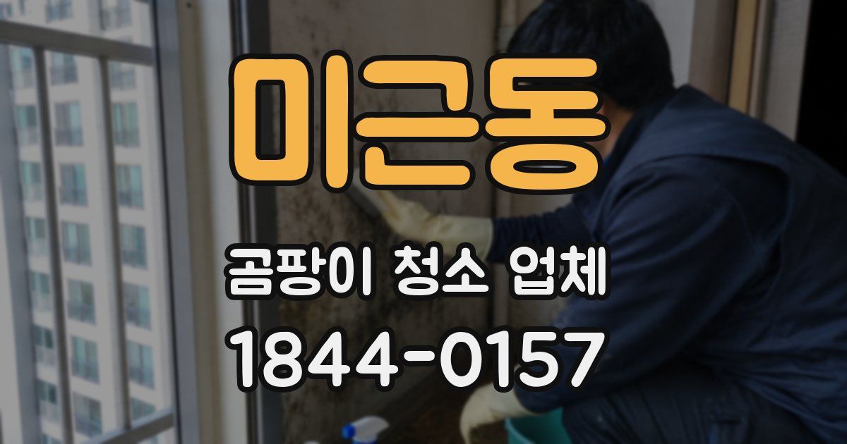 미근동 곰팡이 청소 업체