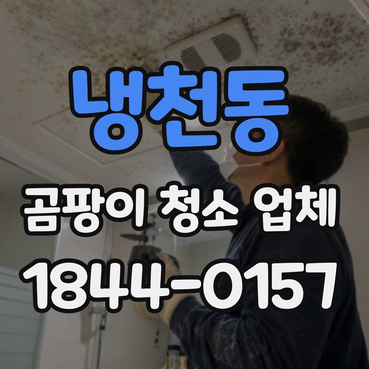냉천동 곰팡이 청소 업체