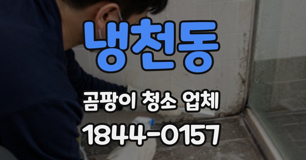 냉천동 곰팡이 청소 업체
