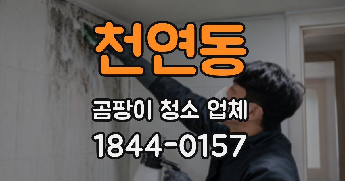 천연동 곰팡이 청소 업체