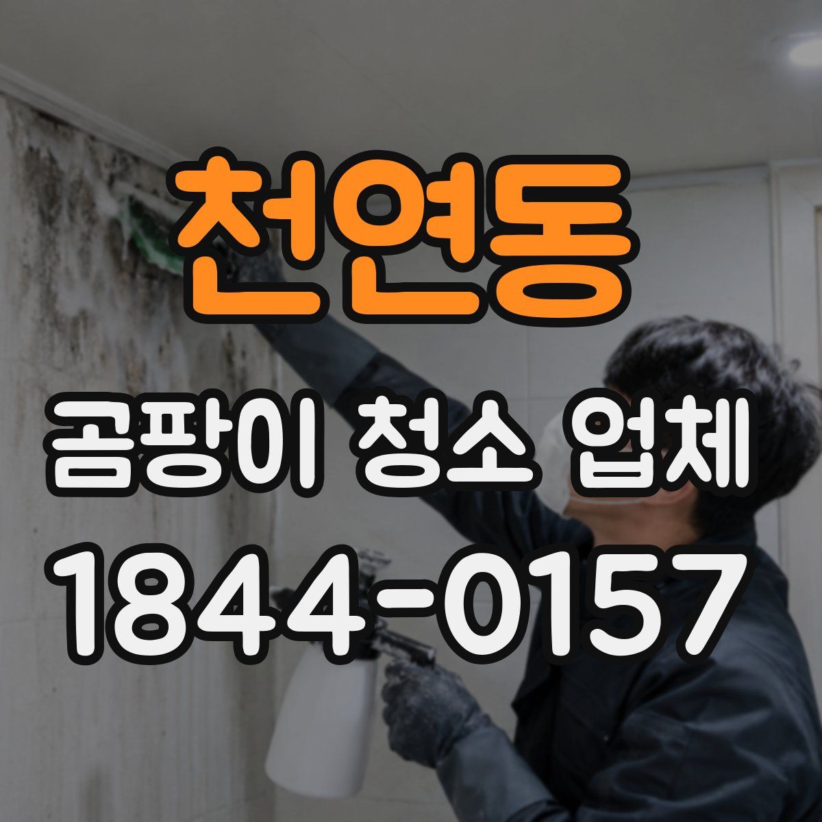 천연동 곰팡이 청소 업체