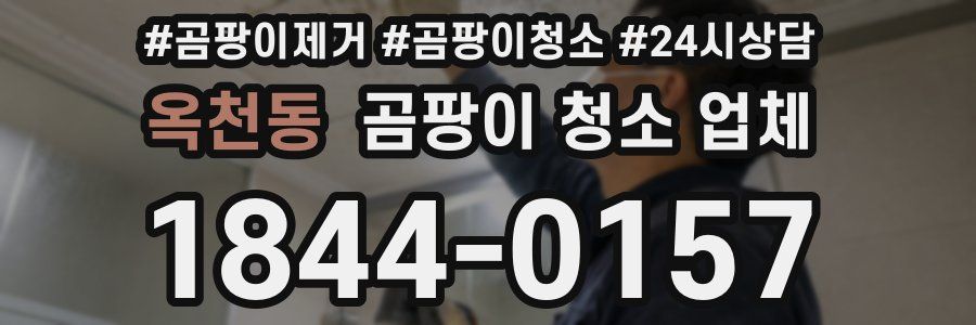 옥천동 곰팡이 청소 업체