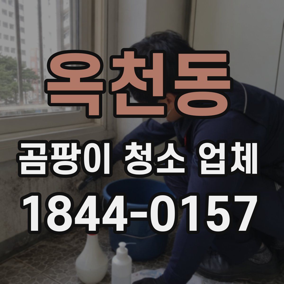 옥천동 곰팡이 청소 업체