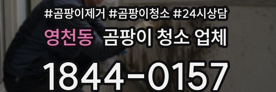 영천동 곰팡이 청소 업체