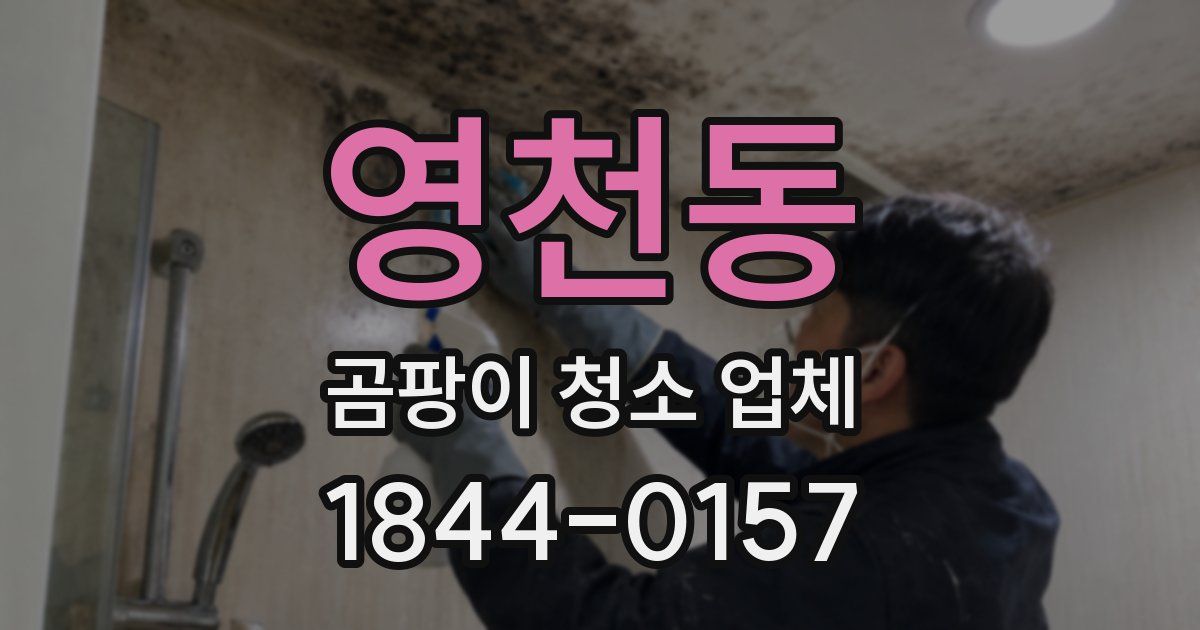 영천동 곰팡이 청소 업체