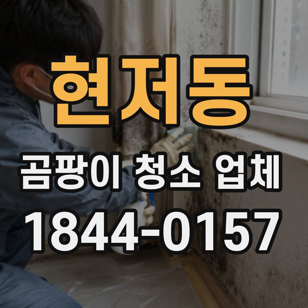 현저동 곰팡이 청소 업체