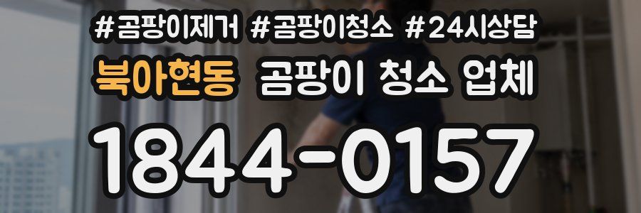 북아현동 곰팡이 청소 업체