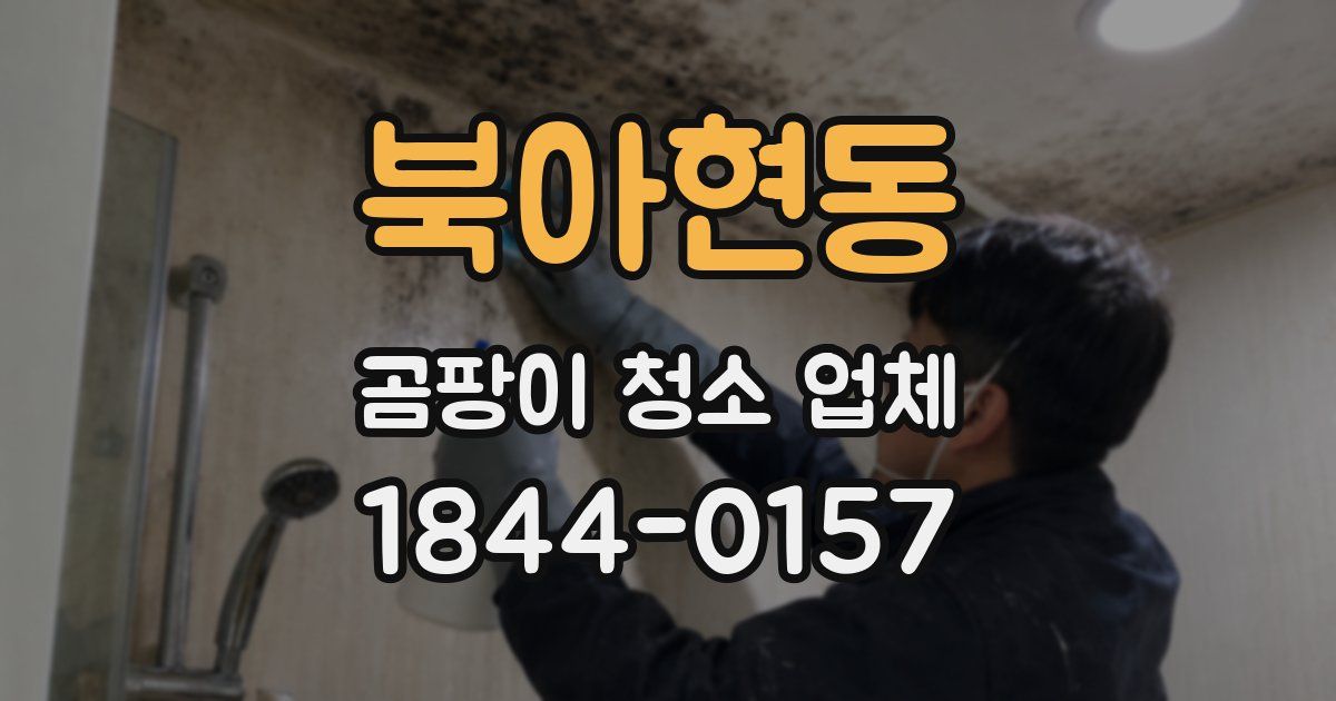 북아현동 곰팡이 청소 업체