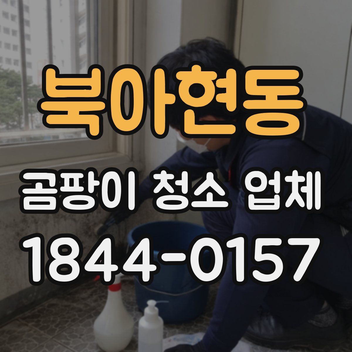 북아현동 곰팡이 청소 업체