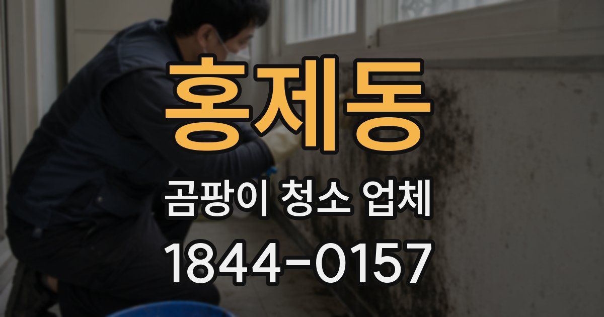 홍제동 곰팡이 청소 업체