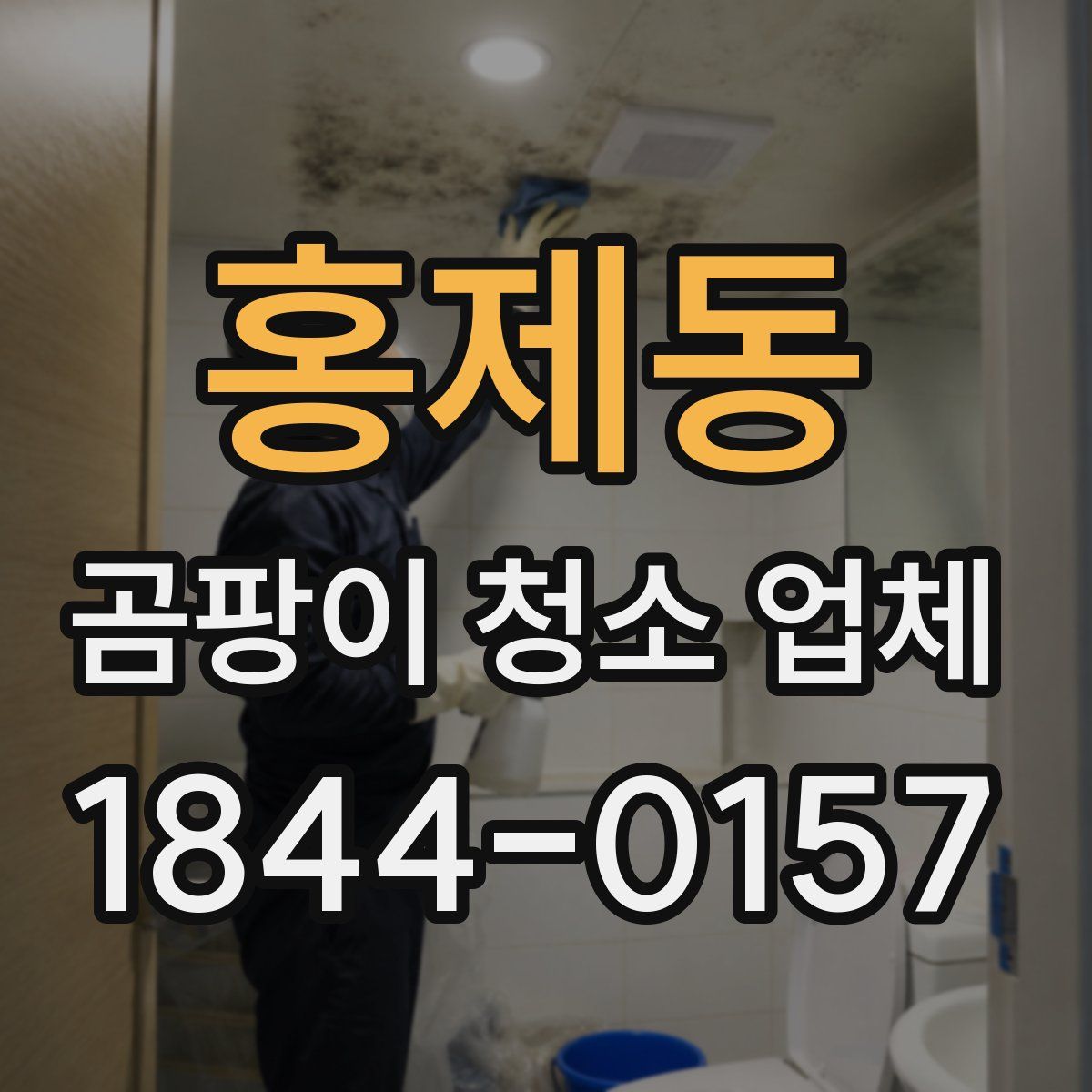 홍제동 곰팡이 청소 업체