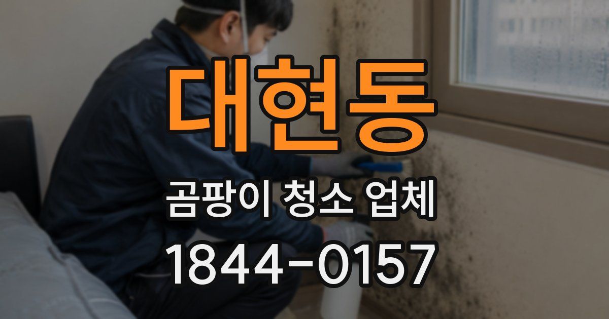 대현동 곰팡이 청소 업체