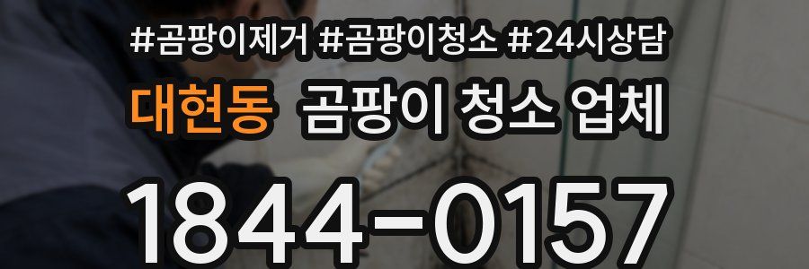 대현동 곰팡이 청소 업체