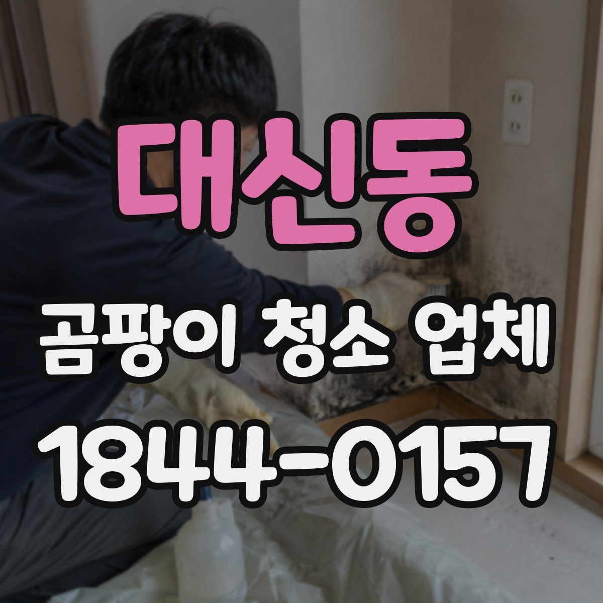 대신동 곰팡이 청소 업체