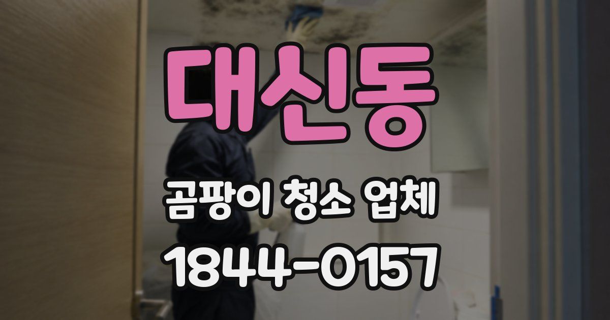 대신동 곰팡이 청소 업체