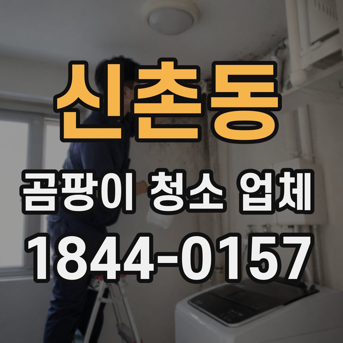 신촌동 곰팡이 청소 업체
