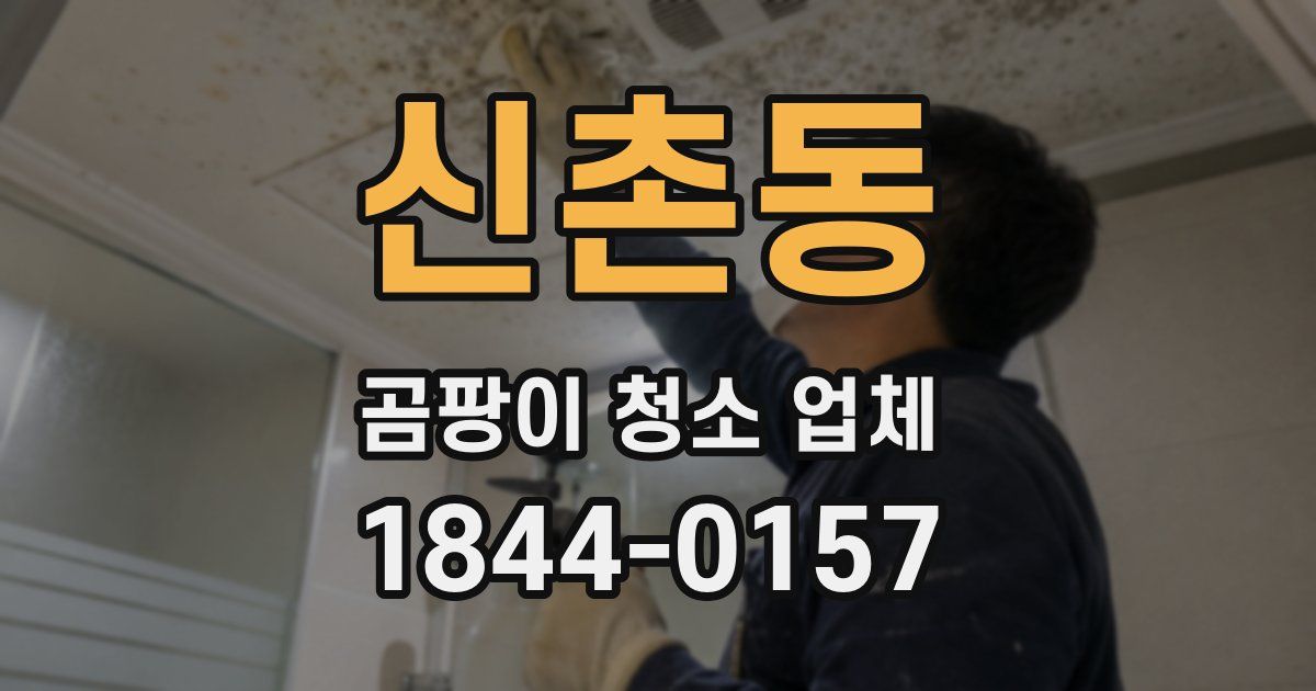 신촌동 곰팡이 청소 업체