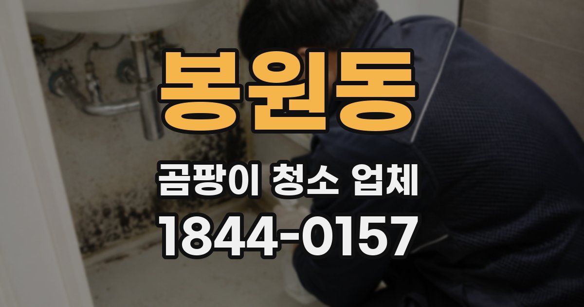 봉원동 곰팡이 청소 업체