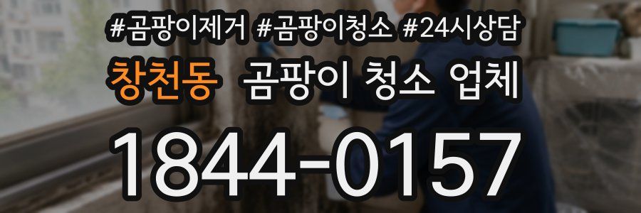 창천동 곰팡이 청소 업체