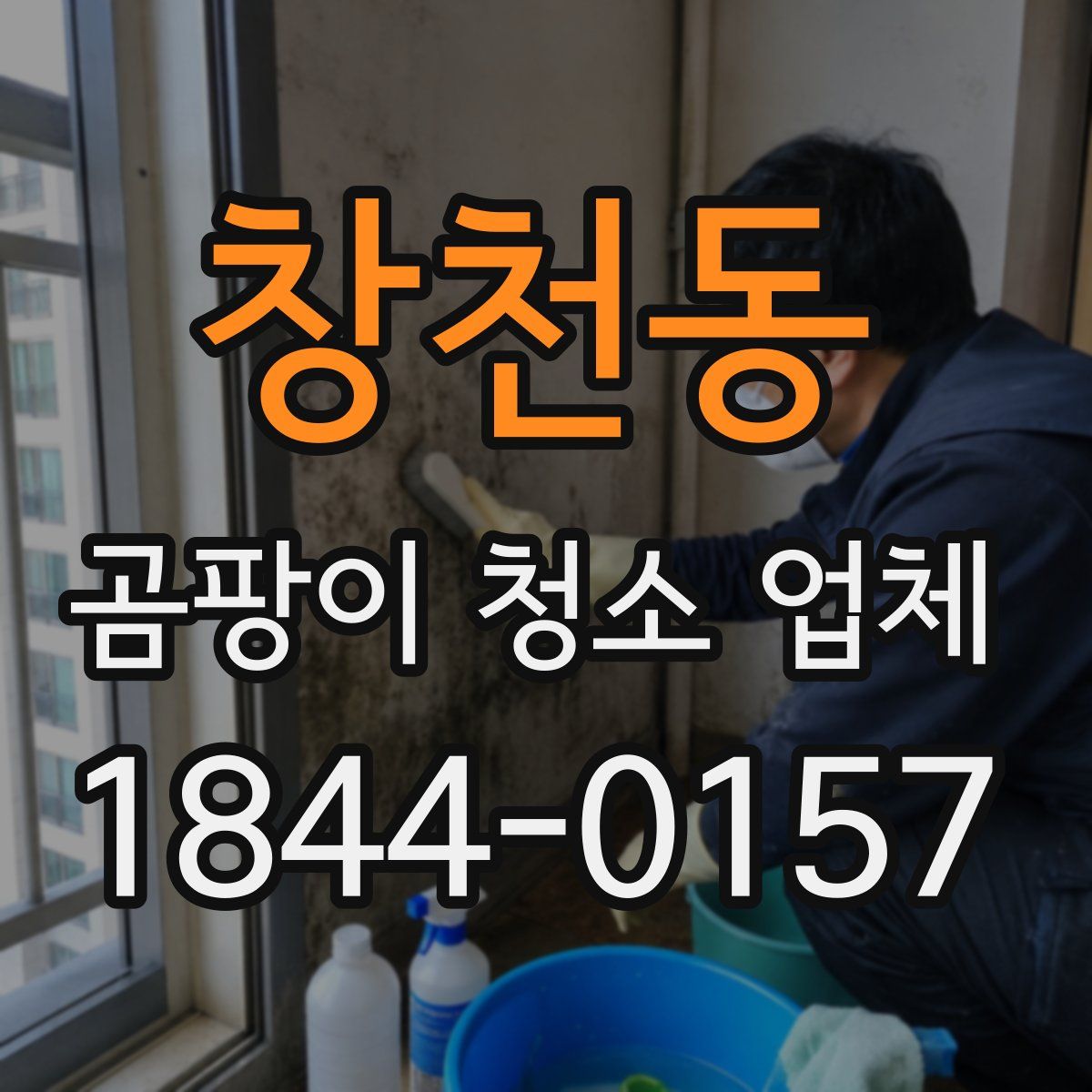 창천동 곰팡이 청소 업체