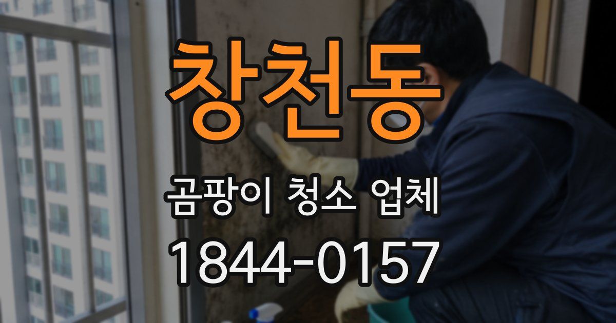 창천동 곰팡이 청소 업체