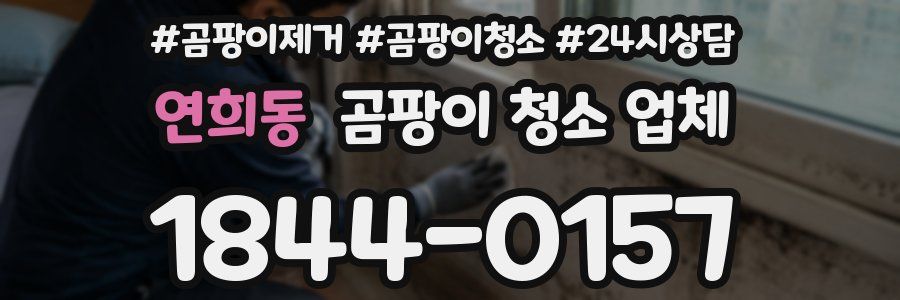 연희동 곰팡이 청소 업체