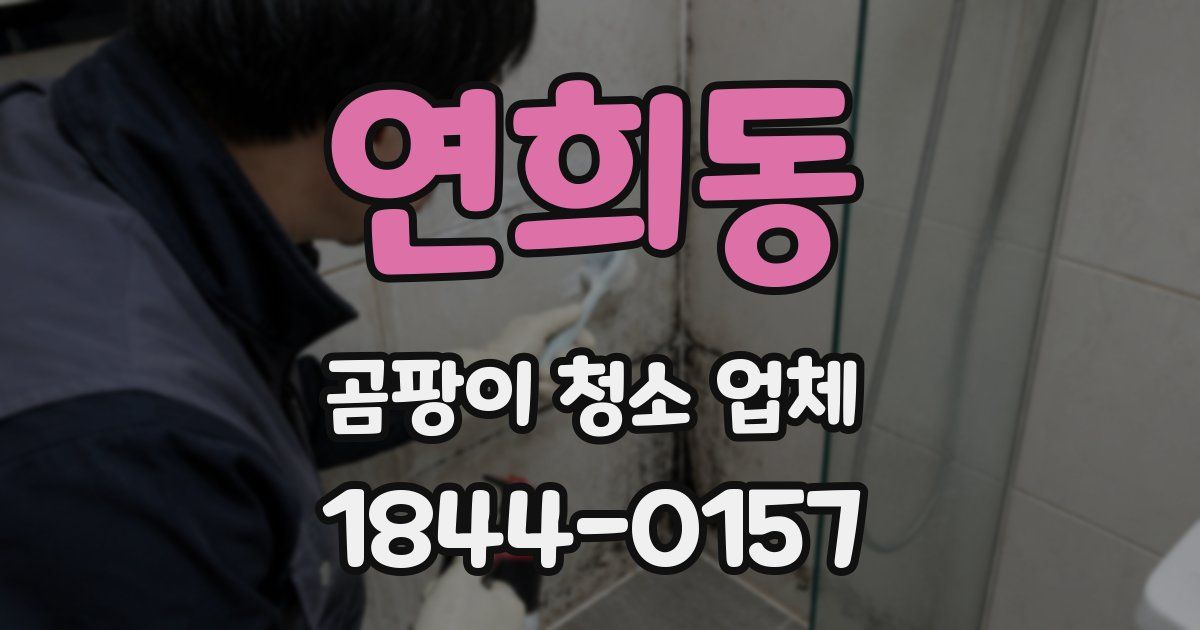 연희동 곰팡이 청소 업체
