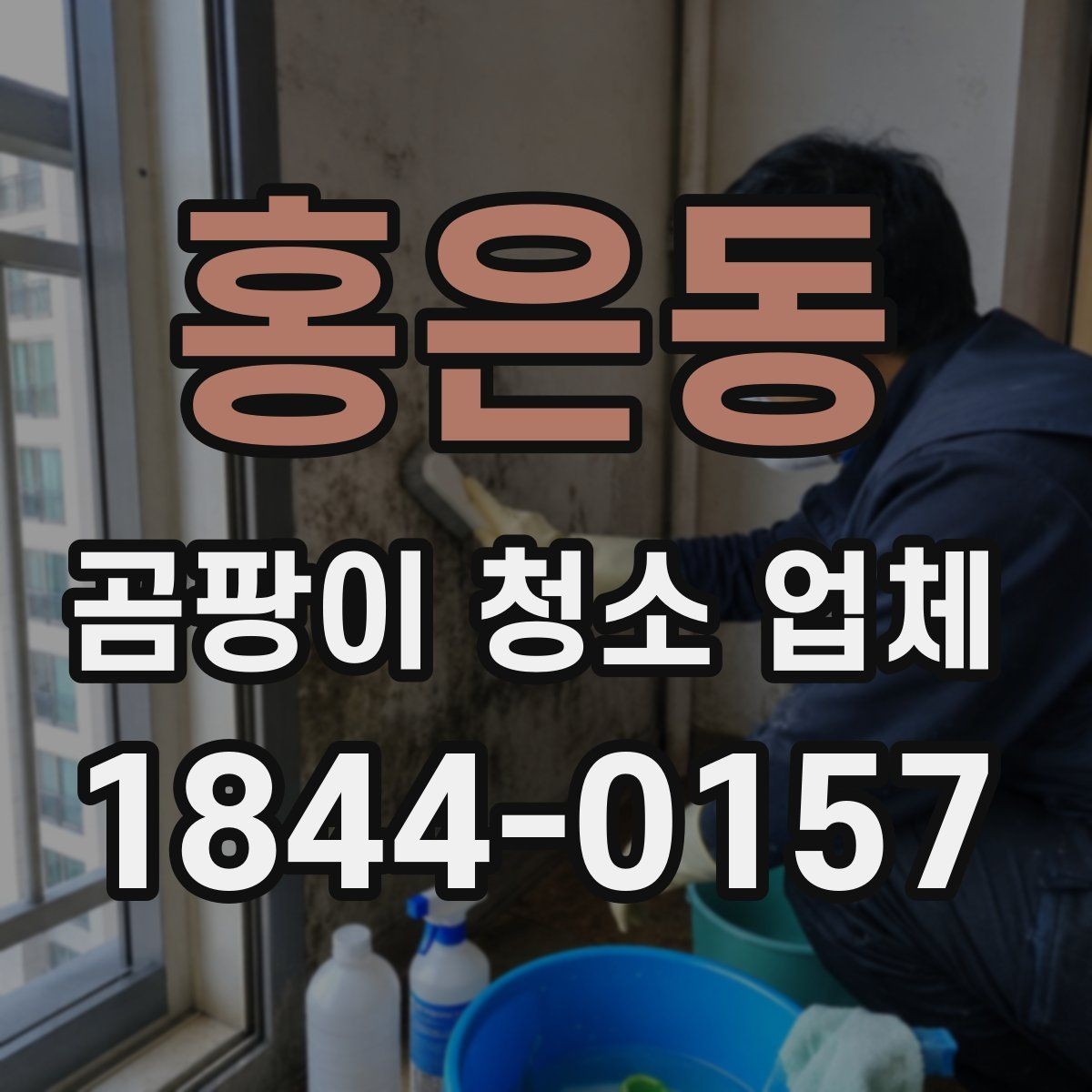 홍은동 곰팡이 청소 업체 욕실 실리콘 관리과 벽면 처리 차이