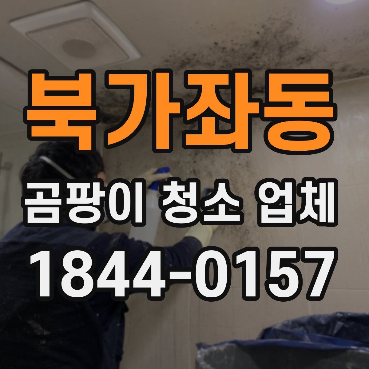 북가좌동 곰팡이 청소 업체 욕실 곰팡이 제거 범위를 정하는 기준