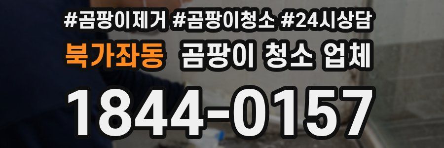 북가좌동 곰팡이 청소 업체