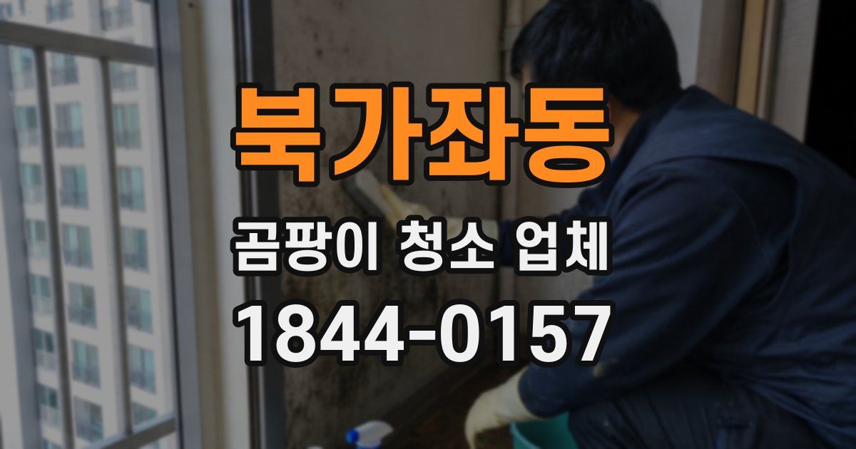 북가좌동 곰팡이 청소 업체