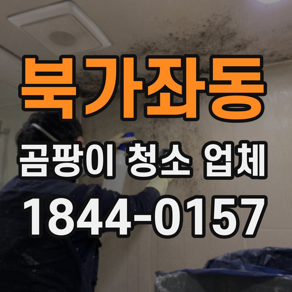 북가좌동 곰팡이 청소 업체