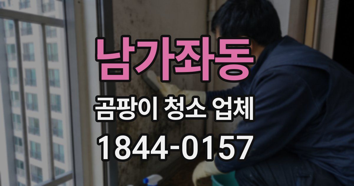 남가좌동 곰팡이 청소 업체