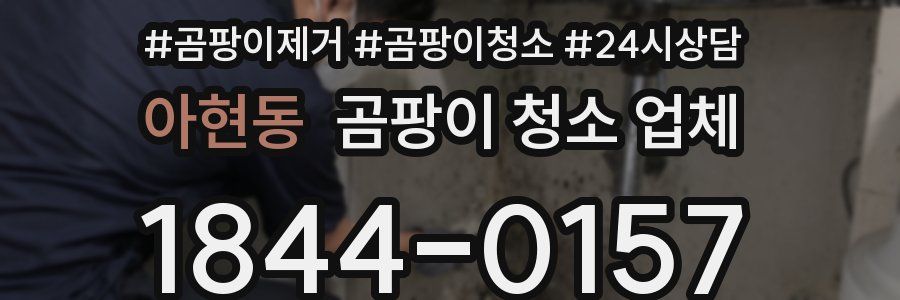 아현동 곰팡이 청소 업체