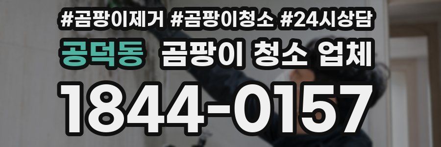 공덕동 곰팡이 청소 업체