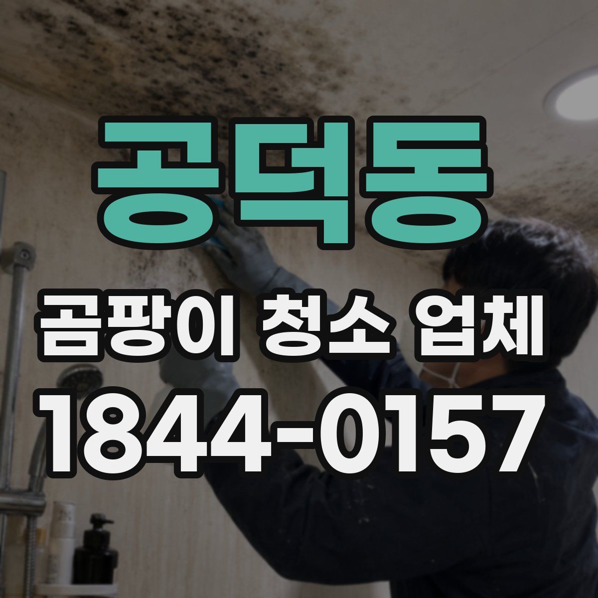 공덕동 곰팡이 청소 업체