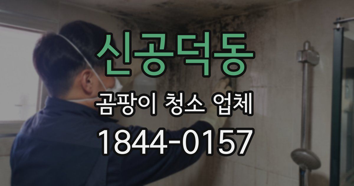 신공덕동 곰팡이 청소 업체