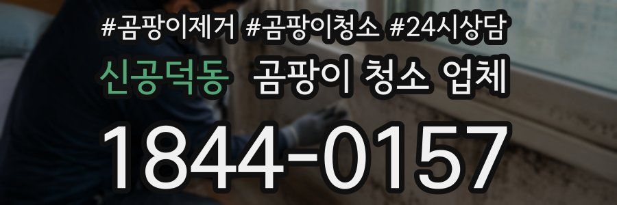 신공덕동 곰팡이 청소 업체