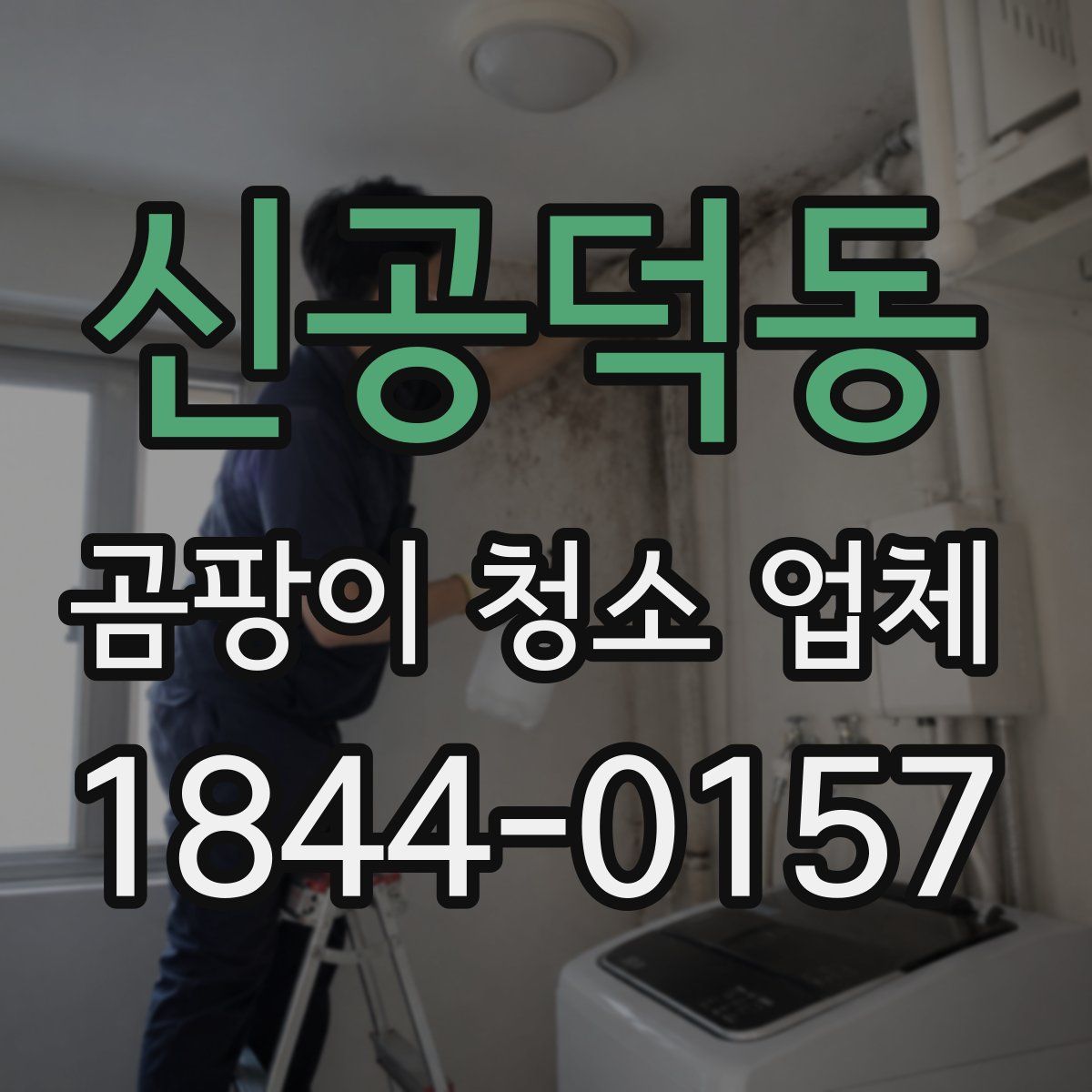 신공덕동 곰팡이 청소 업체