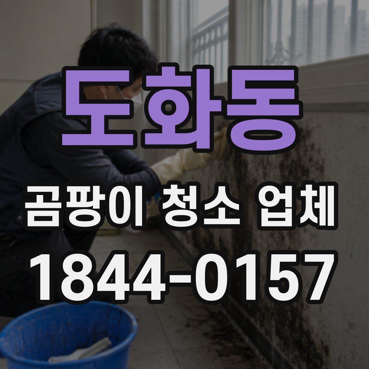도화동 곰팡이 청소 업체