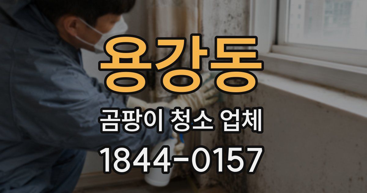 용강동 곰팡이 청소 업체