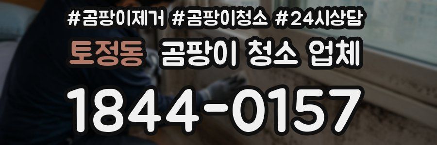 토정동 곰팡이 청소 업체