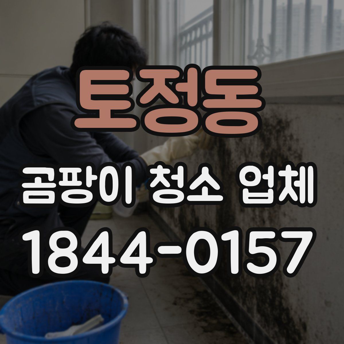 토정동 곰팡이 청소 업체