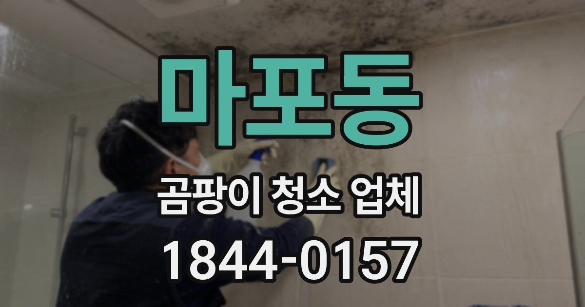 마포동 곰팡이 청소 업체