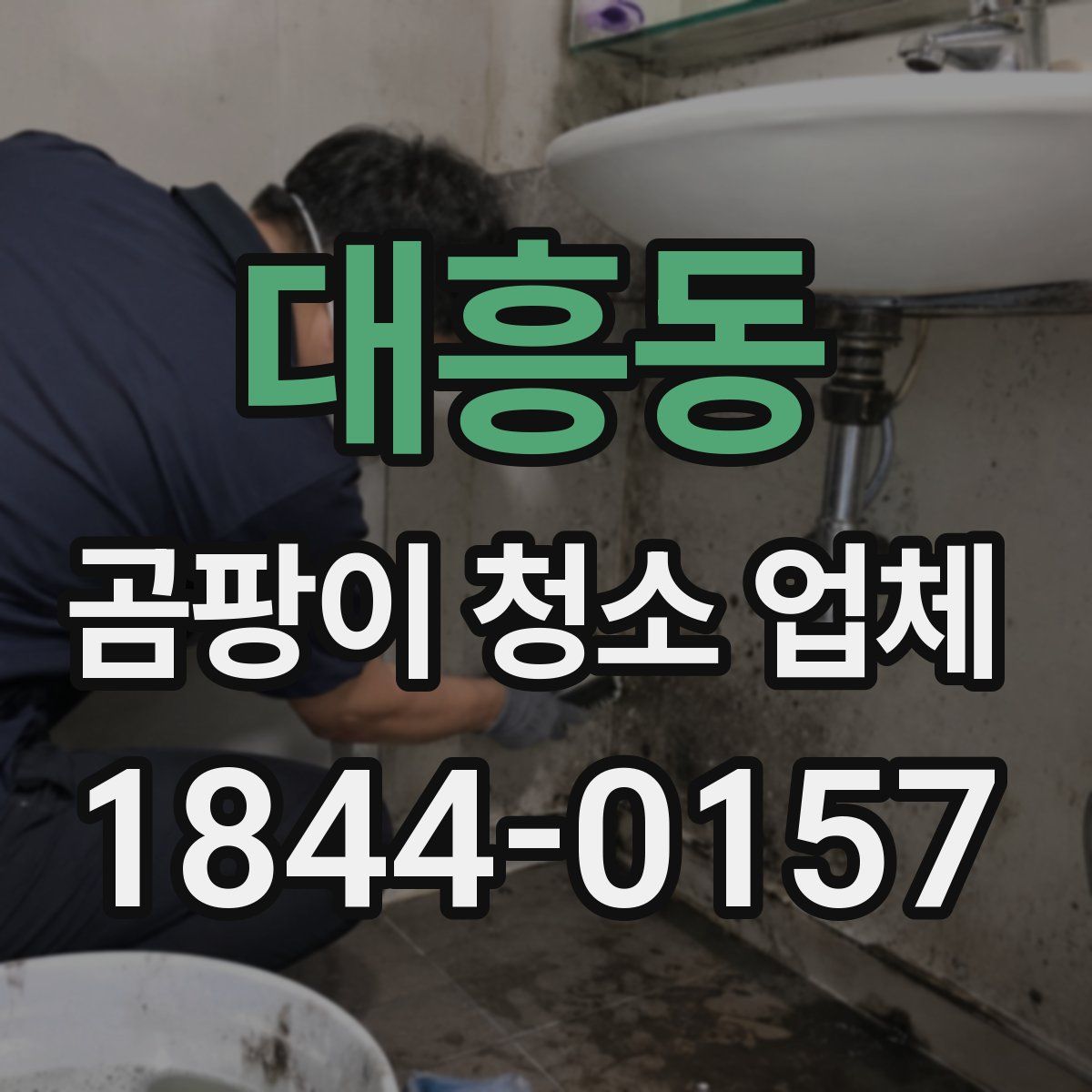 대흥동 곰팡이 청소 업체