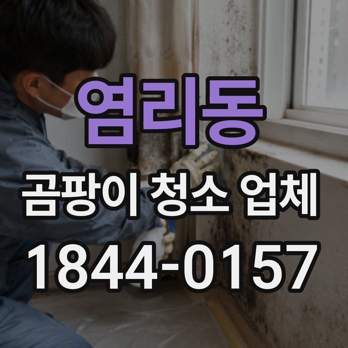 염리동 곰팡이 청소 업체