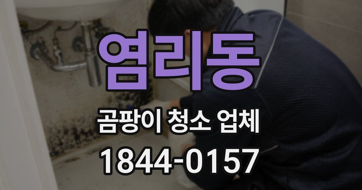 염리동 곰팡이 청소 업체