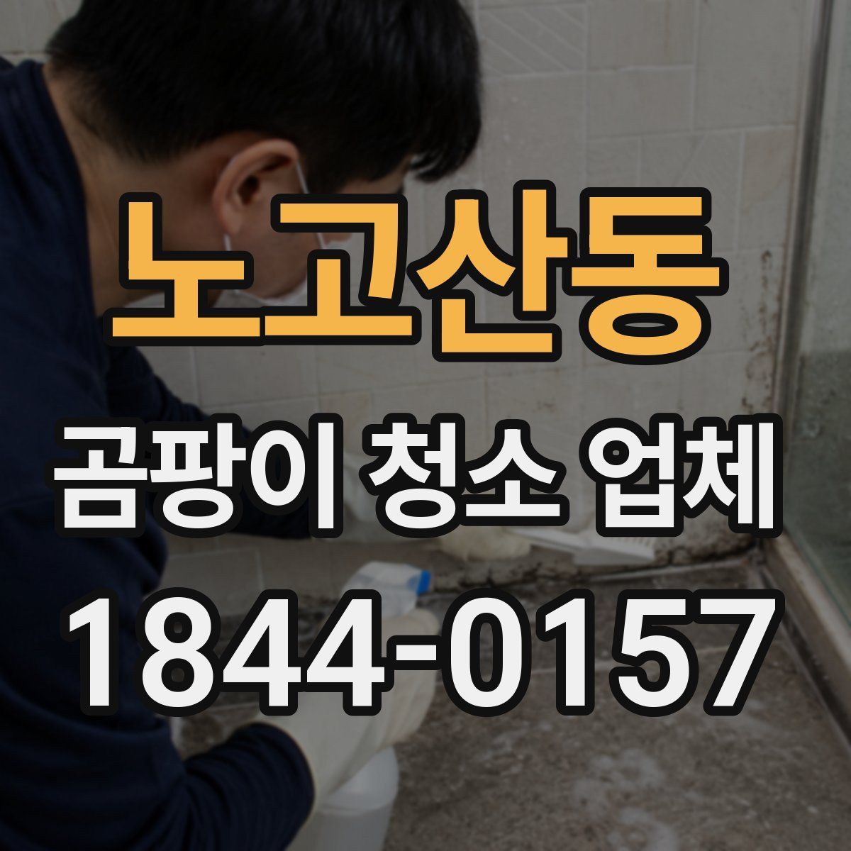 노고산동 곰팡이 청소 업체